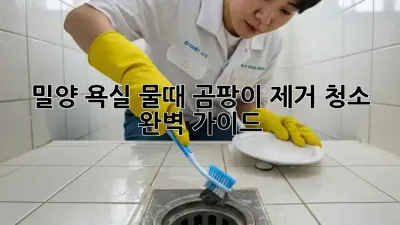 밀양 욕실 물때, 곰팡이 제거 청소 완벽 가이드
